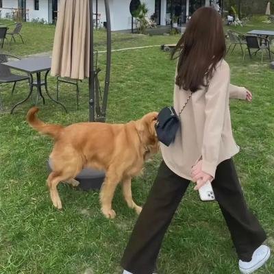 古装权谋